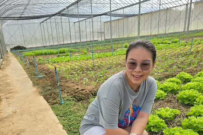 Private Tour Guide with Private Car - Authentic Experiences and Reviews