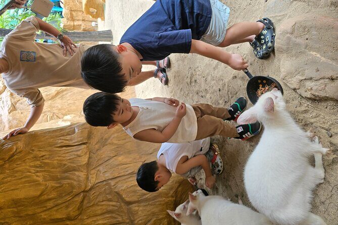 Private Tour Guide with Private Car - The Sum Up: Who Will Love This Tour?