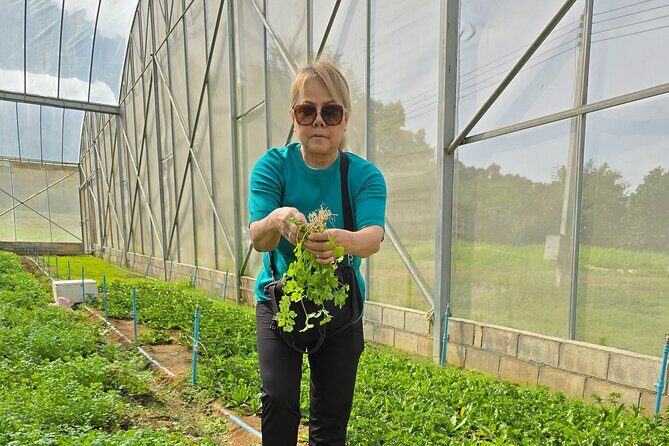 Private Tour Guide with Private Car - FAQ