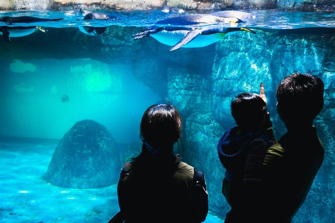 Private Tour Guide Yokohama With a Local: Kickstart Your Trip, Personalized - Discover Yokohamas Hidden Gems