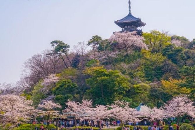 Private Tour Guide Yokohama With a Local: Kickstart Your Trip, Personalized - Create Unforgettable Memories in Yokohama