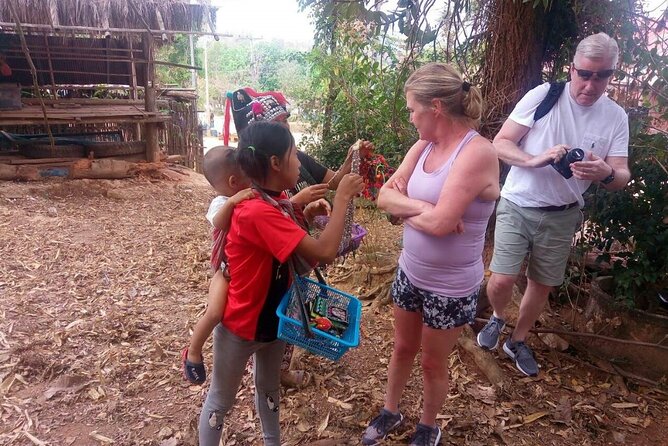 Private Tour: Half-Day Chiang Mai Temple Tour - Questions and Support
