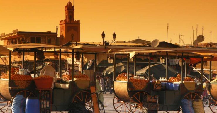 Private Tour: Half-Day Sightseeing Tour of Marrakech - Tour Booking Details