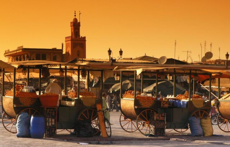 Private Tour: Half-Day Sightseeing Tour of Marrakech - Tour Highlights