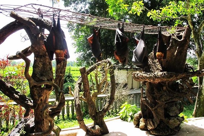 Private Tour: Half Day Tanah Lot Sunset Tours - Inclusions