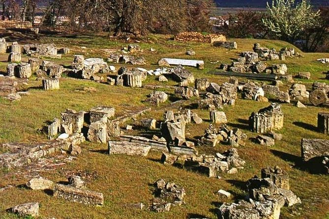 Private Tour: Half Day Vergina - Itinerary Overview