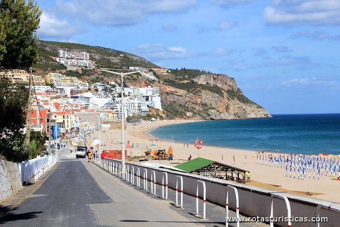 Private Tour: Half-Day Visiting Setúbal Winery and Lunch Grill Fish at Sessimbra - Tour Duration and Inclusions