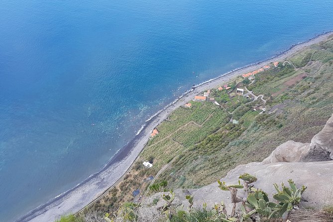 Private Tour Halfday South Madeira - Contact Information