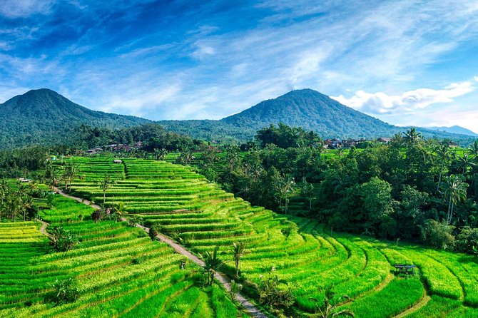 Private Tour: Handara Iconic Gate, Rice Terrace & Ulundanu Temple - Good To Know