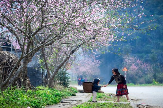 Private Tour: Hanoi - Ha Giang 3 Days/2 Nights - Booking and Pricing Information