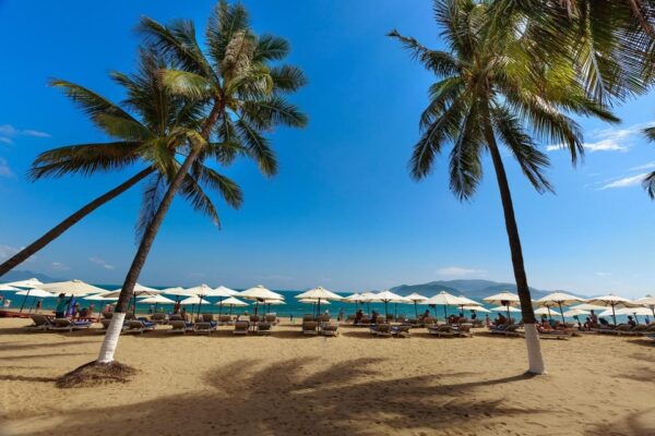 Private Tour Hanoi, Hue, HoiAn, HoChi Minh, Nha Trang Beach - Pricing and Cancellation