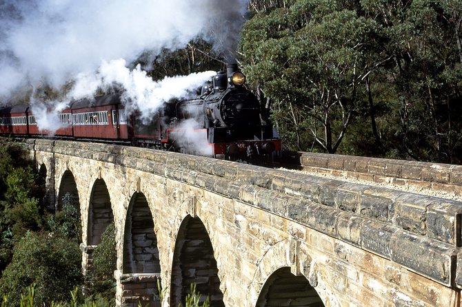 [Private Tour] Healesville Sanctuary Wildlife & Puffing Billy Steam Train - Itinerary Overview