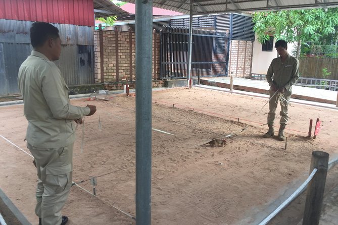 Private Tour: HERO Rats & Angkor National Museum - Price and Terms