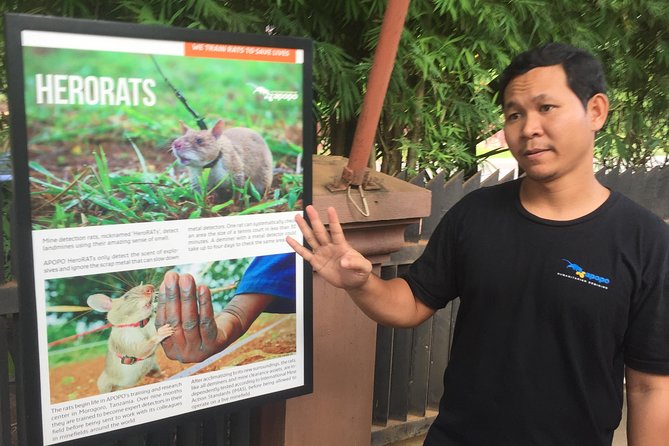 Private Tour: HERO Rats & Angkor National Museum - Directions