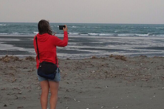 Private Tour Highlights of Christchurch NZ - FAQs