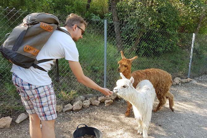 Private Tour - Hike and Wine Tasting at the Penedés - Tour Overview