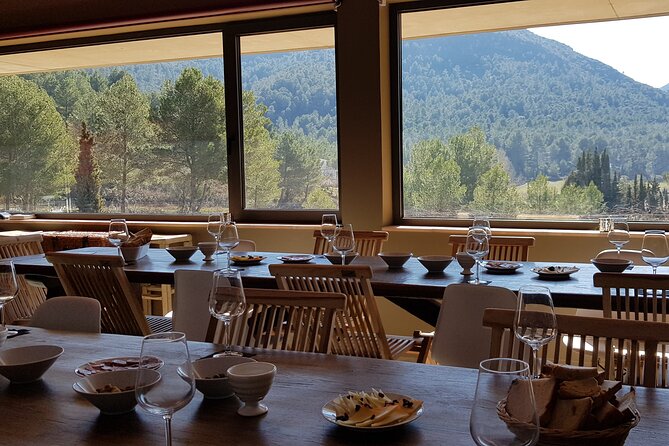 Private Tour - Hike and Wine Tasting at the Penedés - Cancellation Policy