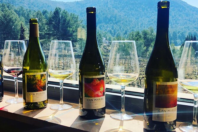 Private Tour - Hike and Wine Tasting at the Penedés - Price