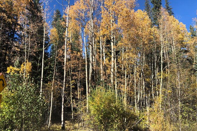 Private tour hiking to Saint Mary's Glacier, Red Rock and Hot Springs - A Hearty Cowboy Lunch in Idaho Springs
