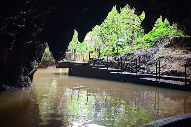Private Tour Hobbiton & Waitomo Day Trip With Lunch From Auckland - Pickup Details and Changes