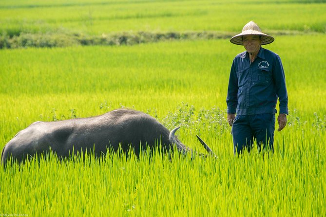 PRIVATE TOUR HOI AN Biking River Islands, Villages, Local Crafts - Tour Overview