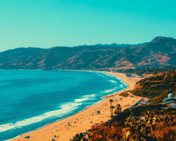 Private Tour Hollywood Beverly Hills Santa Monica Venice - Additional Information and Tips