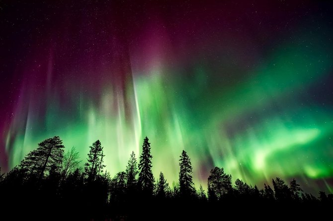 Private Tour: Hunt for the Northern Lights in Kiruna - Abisko - Cancellation Policy