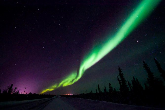 Private Tour: Hunt for the Northern Lights in Kiruna - Abisko - Price and Booking Information