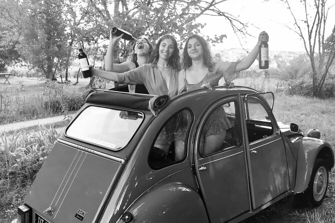 Private Tour in 2cv in the Vineyards With Tasting and Picnic - Additional Information