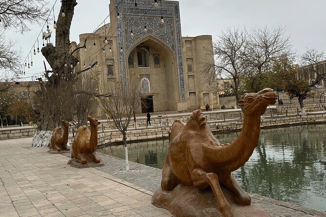 Private Tour in 3 top Places Outside of Bukhara City - The Sum Up