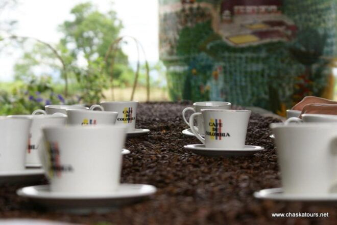 Private Tour in an Authentic, Ecological Local Coffee Finca - Pricing and Exclusive Group Experience