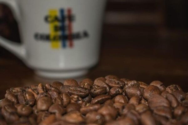 Private Tour in an Authentic, Ecological Local Coffee Finca - The Sum Up