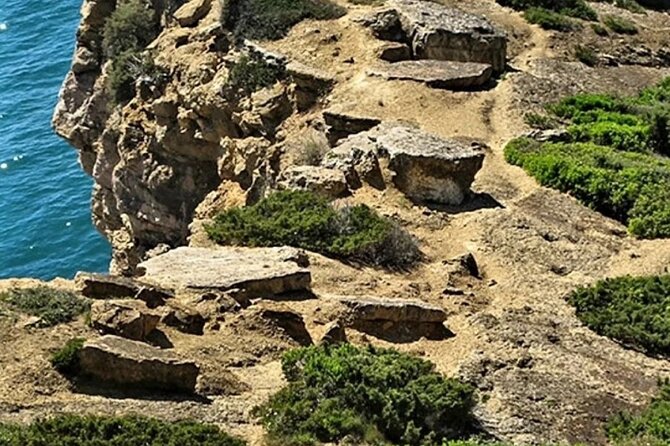Private Tour in Arrabida & Sesimbra With Dinousaur Footprints - Tour Highlights