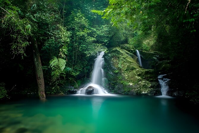 Private Tour in Bach Ma National Park and Nam O Fishing Village - Private Tour Itinerary
