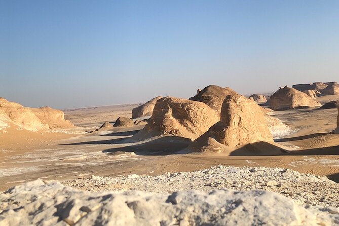 Private Tour in Bahariya Oasis and Black and White Desert - Private Tour Highlights