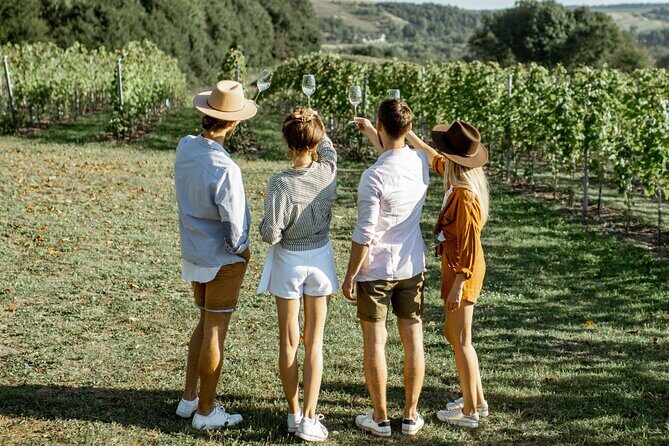 Private Tour in Baja California - A Detailed Look at the Experience