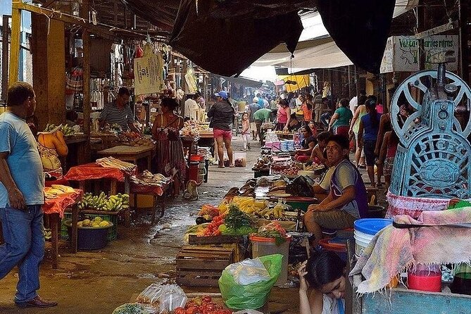Private Tour in Belen Market, Floating City and Amazon River - Tour Overview