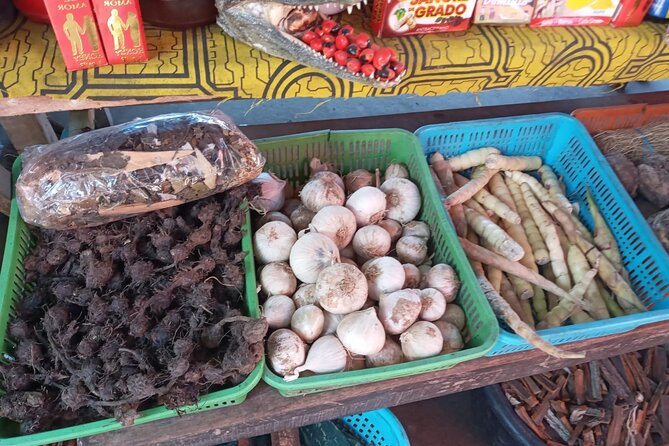 Private Tour in Belen Market, Floating City and Amazon River - Reviews and Ratings
