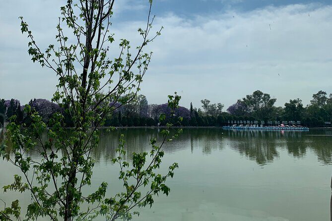 Private Tour in Chapultepec and Museum of Anthropology - An Authentic Introduction to Mexico City’s Green Heart