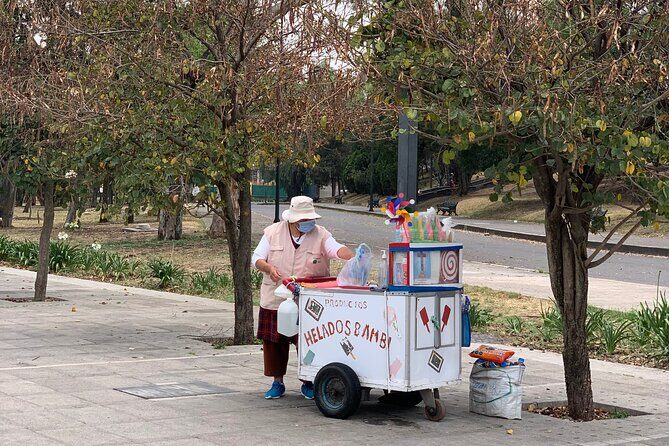 Private Tour in Chapultepec and Museum of Anthropology - The Experience from Reviews