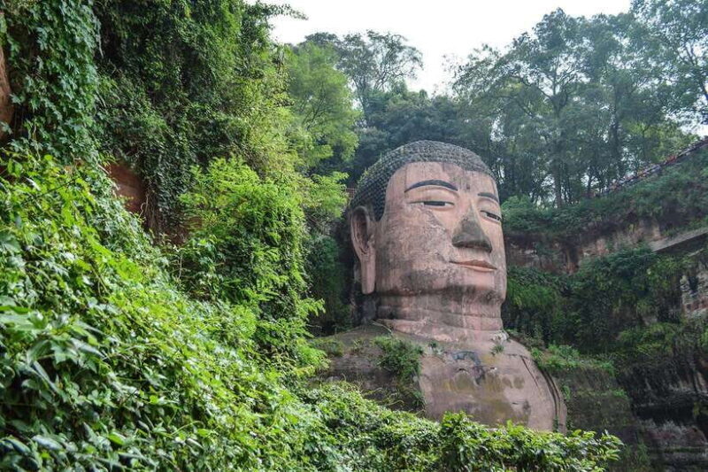 Private tour in Chengdu Panda Base and Leshan Giant Buddha - The Sum Up