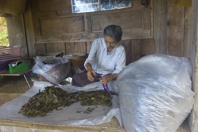 Private Tour in Chiang Mai Village Experience Nature - Common Questions