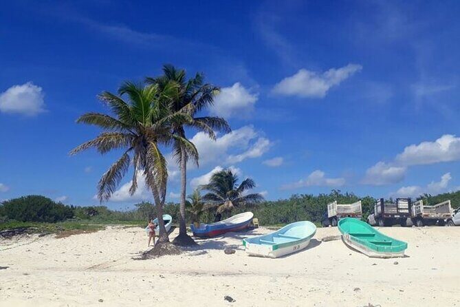Private Tour in Cozumel in your own way Groups up to 14 People - Good To Know