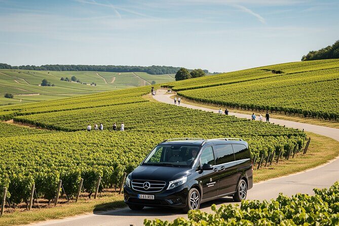 Private Tour in Dijon with your Official Tour Guide - FAQ