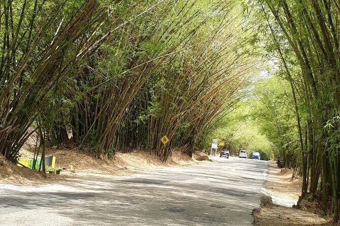 Private Tour in Dunns River Falls - Transportation and Convenience