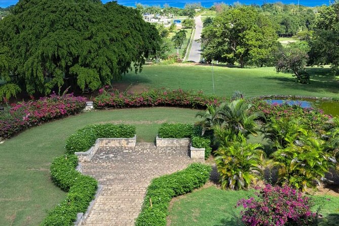 Private Tour in Dunns River Falls - Tour Highlights & Inclusions