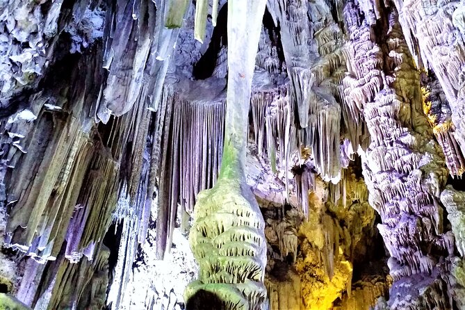 Private Tour in Gibraltar and in Marbella - Local Culture