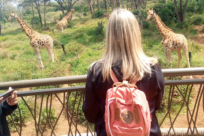 Private Tour in Giraffe Centre and Bomas of Kenya - Tour Highlights