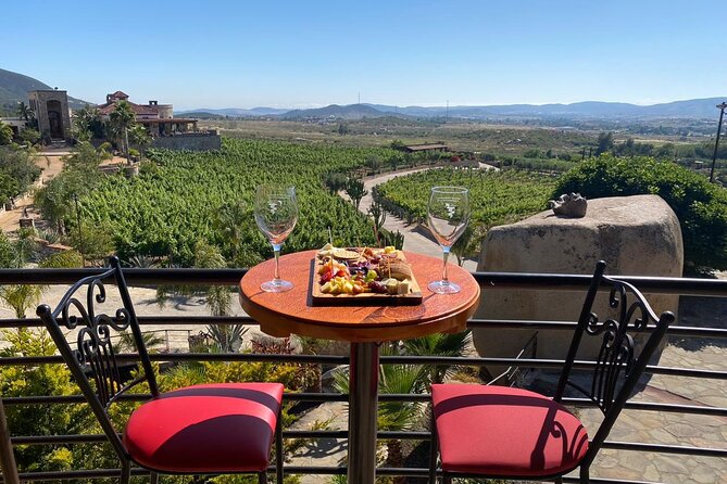 Private Tour in Guadalupe Valley, Vine Yards & Wine Route ENS MX - Overview of Guadalupe Valley Wine Tour