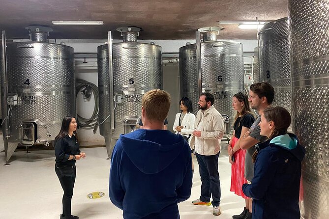 Private Tour in Guadalupe Valley, Vine Yards & Wine Route ENS MX - Exploring the Wine Route in Guadalupe Valley